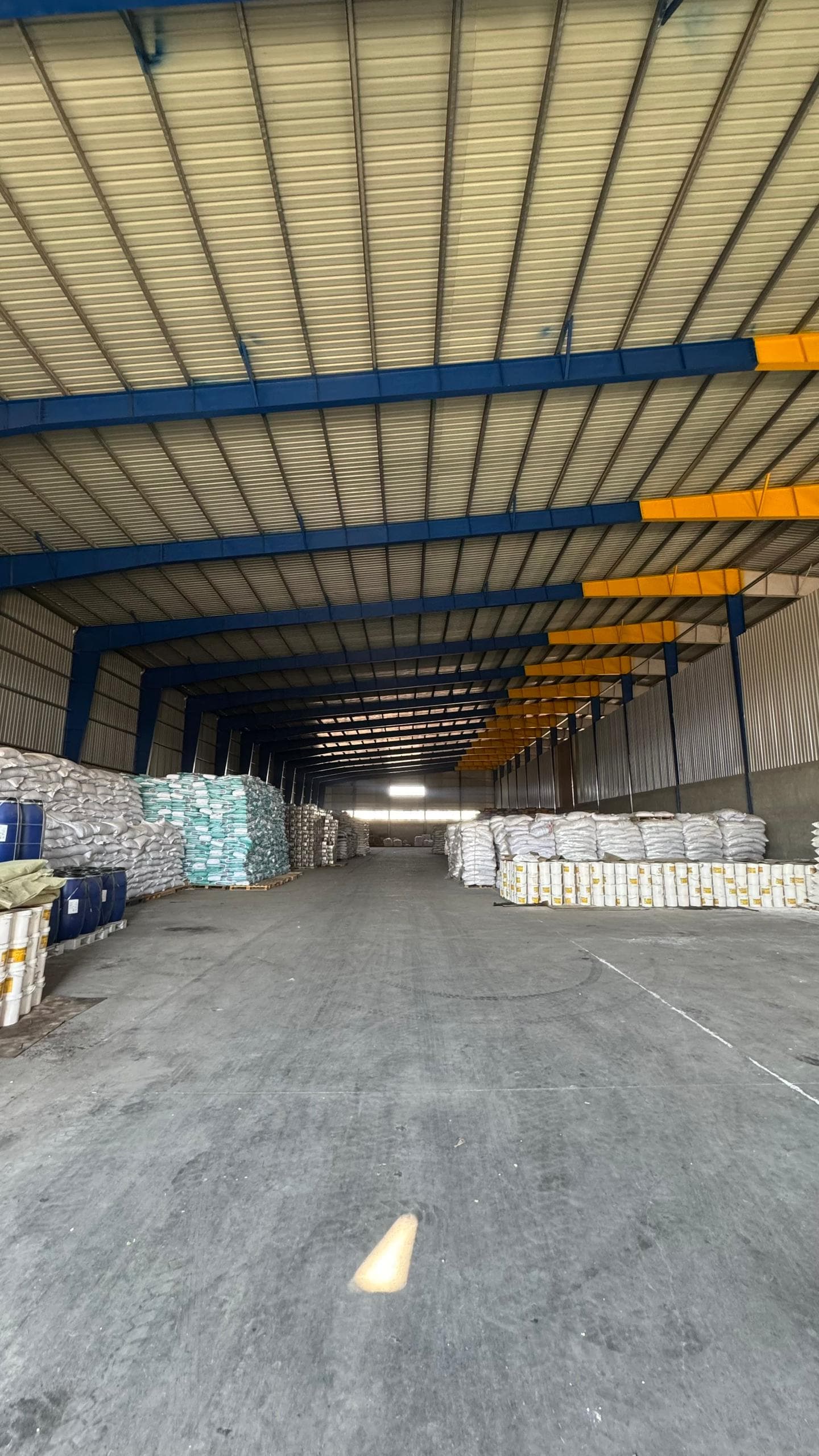 Bulk grain discharge at port