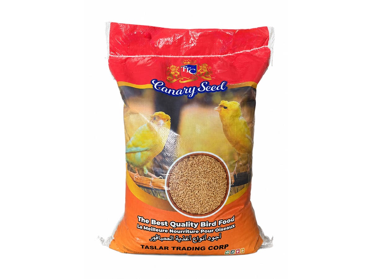 Bird Food
